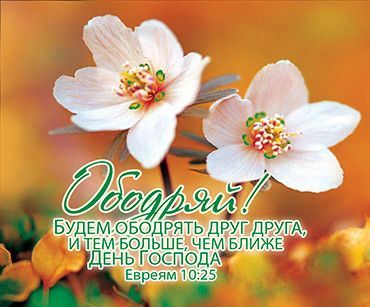Открытка маленькая №366 - Ободряй! Будем ободрять друг друга, и тем больше, чем ближе День Господа. Евреям 10:25