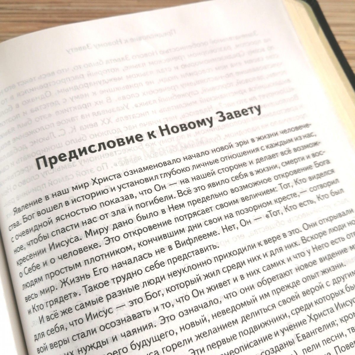 Библия в современном русском переводе 061. под редакцией Кулакова. Кожаный переплет, серебряные страницы, цвет темно-синий