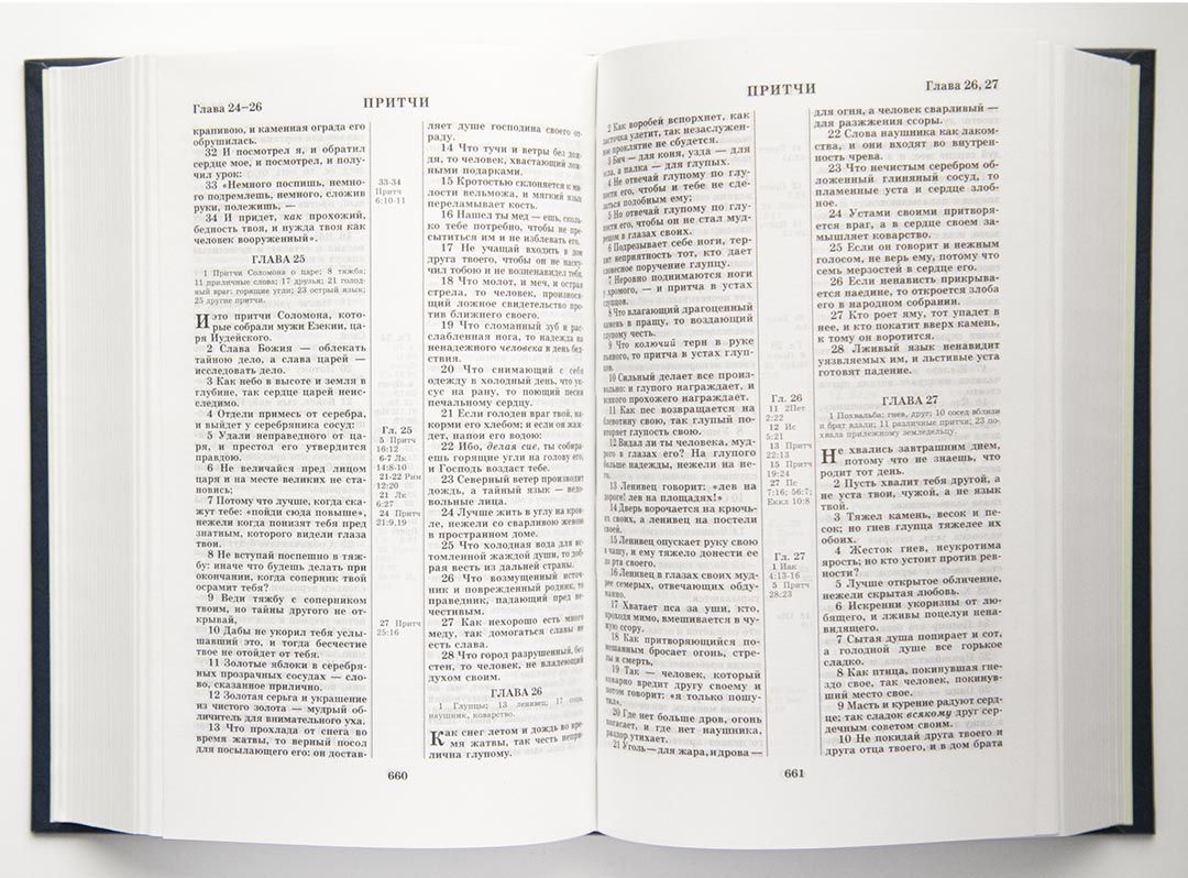 Библия 046 формат, дизайн колос, цвет черный, твердый переплет, размер 120*176 мм, размер шрифта 10-11 кегель