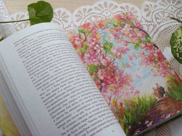 Аня с фермы Зеленые Крыши. Большой формат. Цветные иллюстрации.