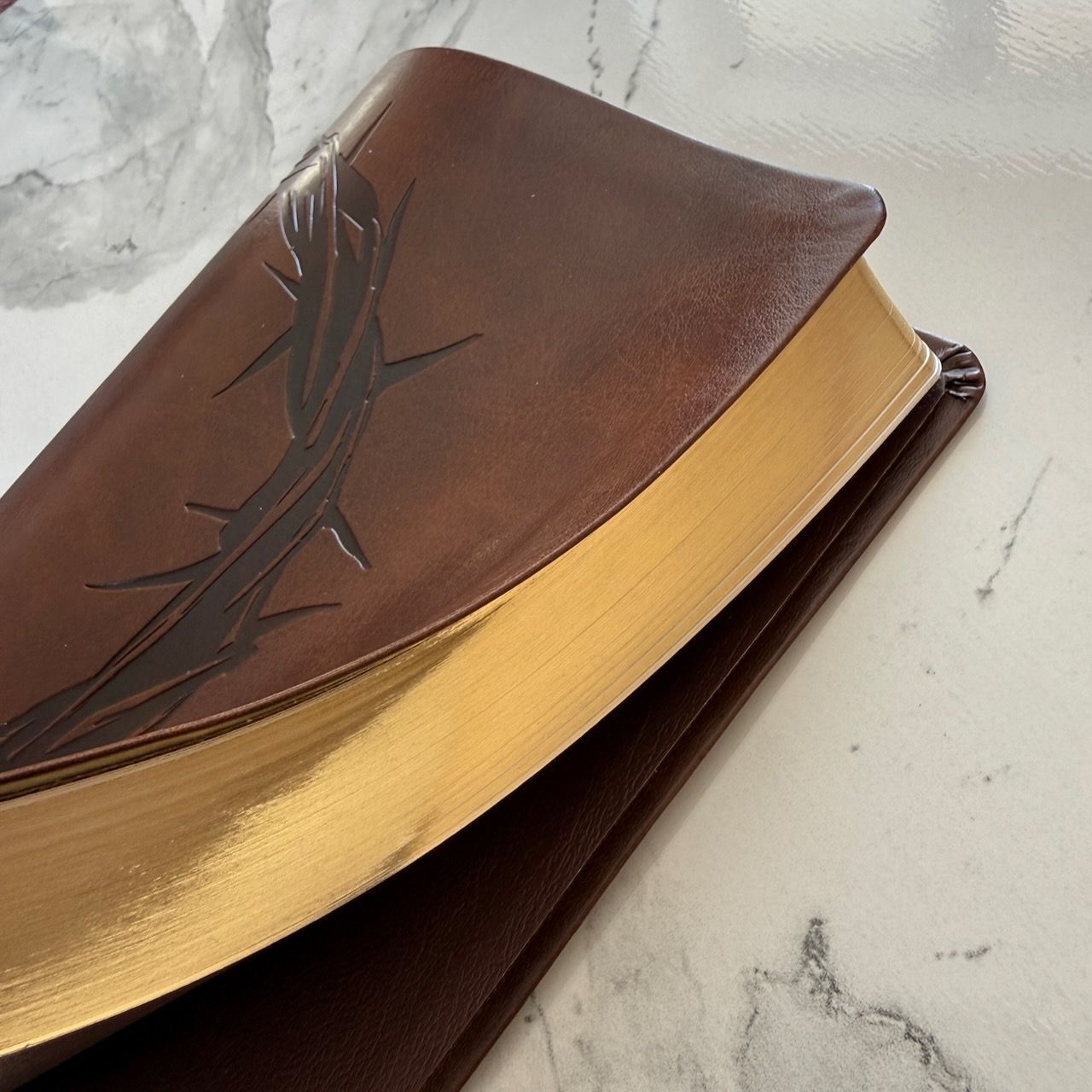 Библия 055 код 26055-48 термо штамп "терновый венец", переплет из эко кожи, цвет коричневый, средний формат, 143*220 мм