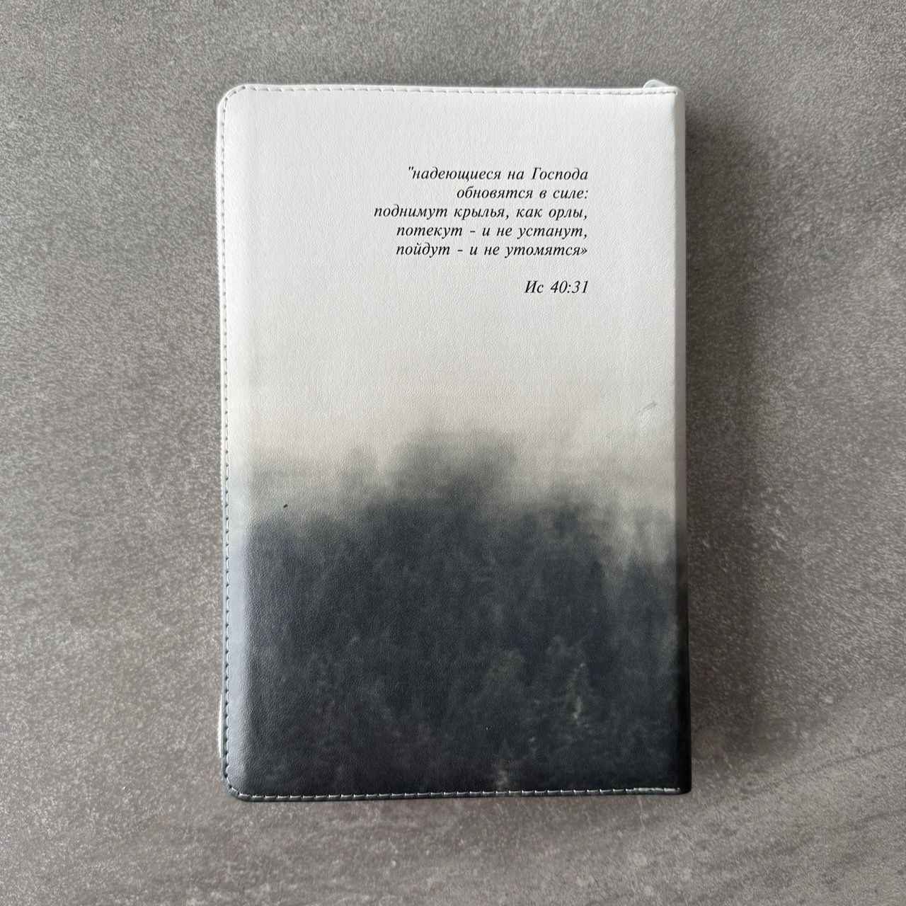Дисконт Серая черточка с задней стороны обложки, по центру. Библия 055zti код 25055-66  цветная печать "Орел", переплет из искусственной кожи на молнии с индексами, формат 143*220 мм