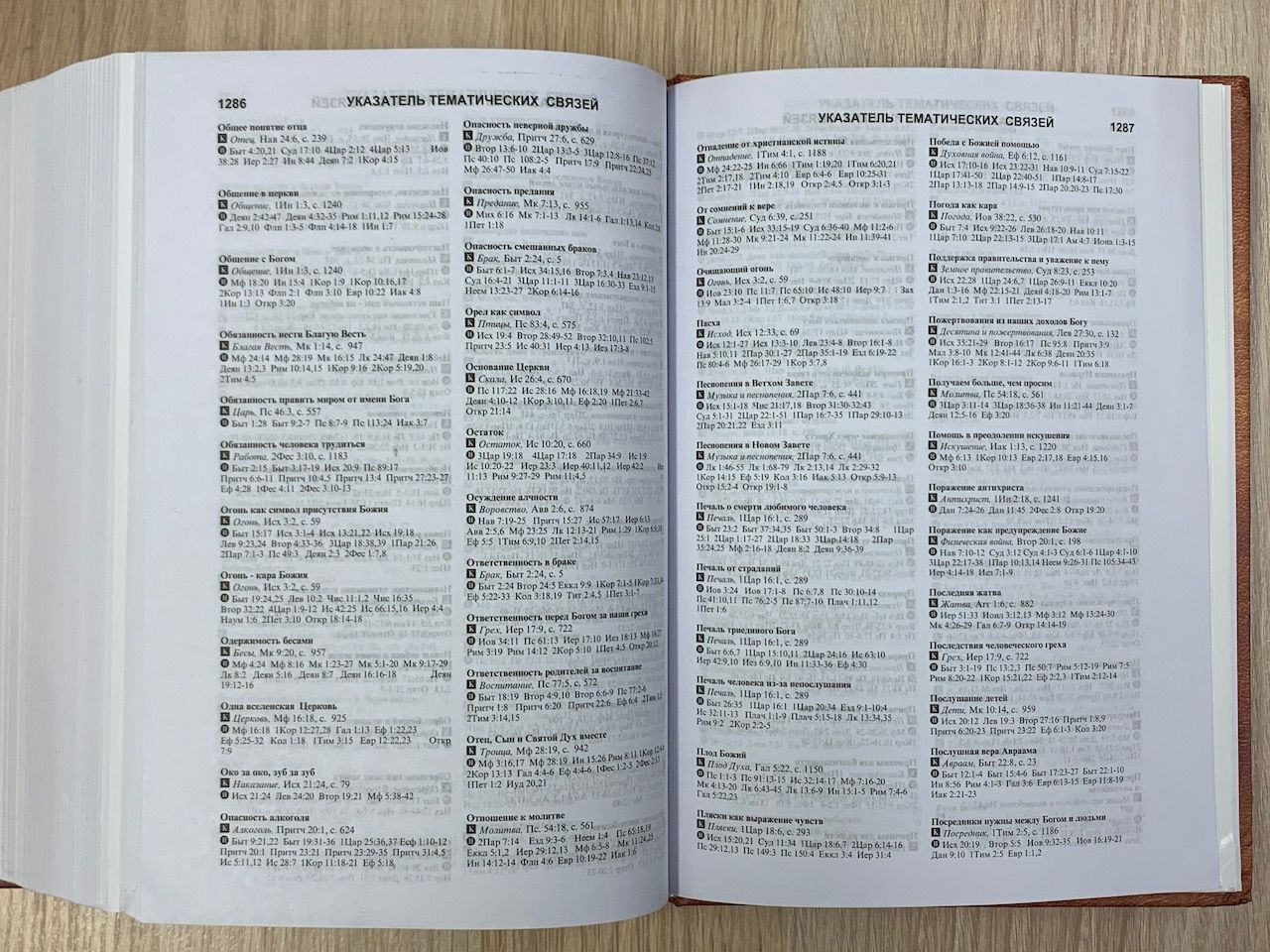Библия тематическая с комментариями (красная)