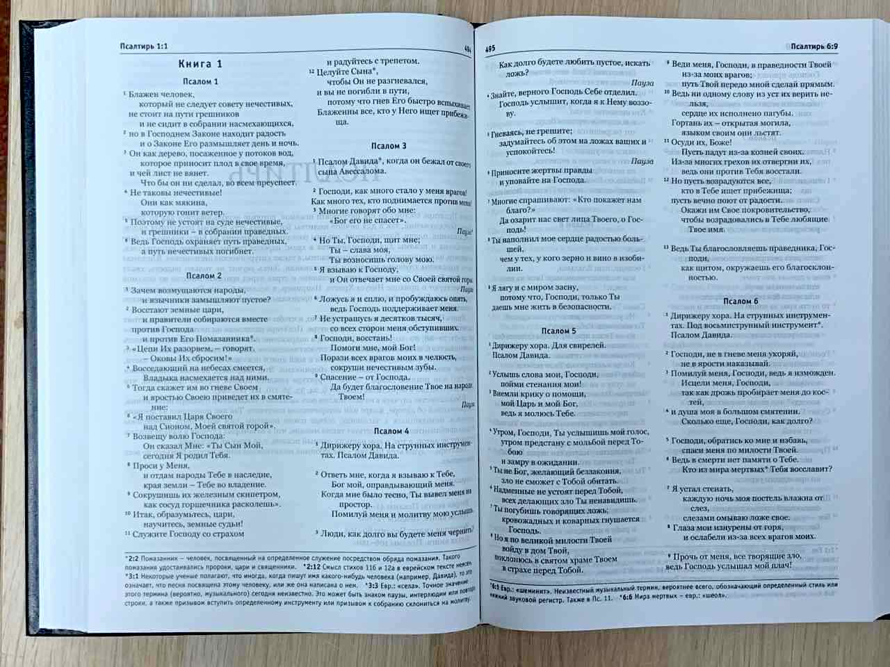 Библия в современном переводе (новый русский перевод) 073 цвет черный