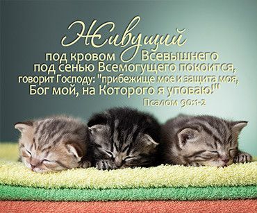Открытка маленькая №85 - Живущий под кровом Всевышнего, под сению всемогущего покоится… Псалом 90:1-2