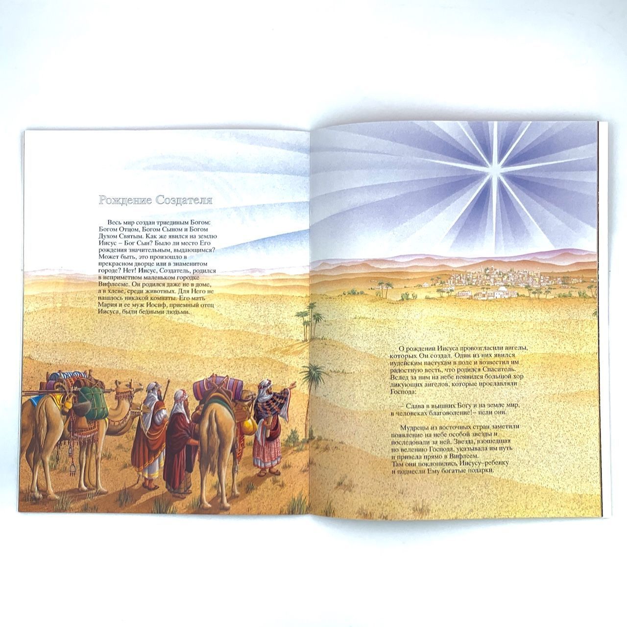 Заботливый Творец. С цветными иллюстрациями. Большой формат. Для детей 5+