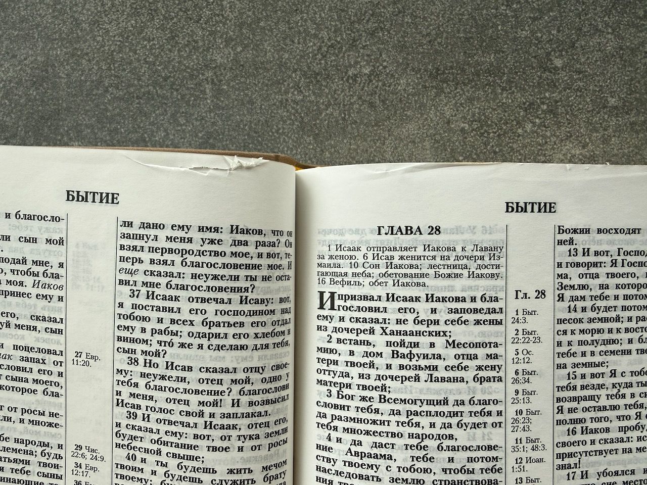Дисконт небольшой надрыв страницы, 28 глава Бытия. Библия 055 код 25055-55 термо штамп "терновый венец", переплет из эко кожи, цвет серо-бежевый, средний формат, 143*220 мм