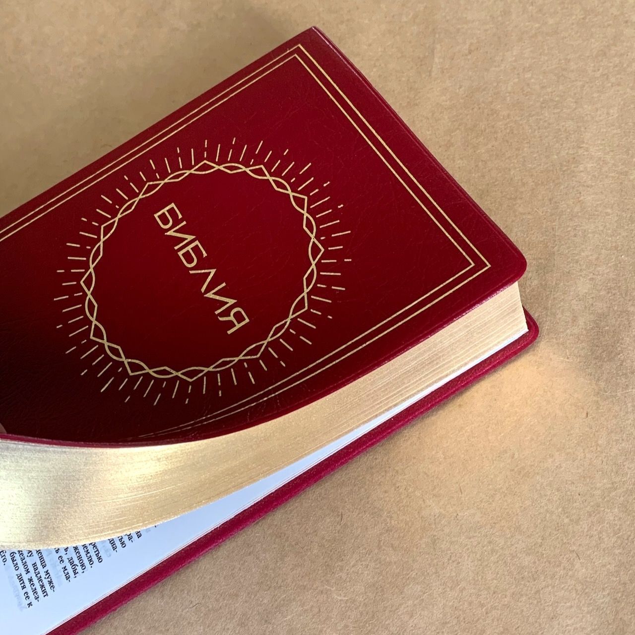 Библия 048 код E1 дизайн "Солнце", переплет искусственной кожи, цвет вишня, формат 125*190 мм, золотой обрез, синодальный перевод, паралельные места по центру страницы, 2 закладки, шрифт 10-11 кегель, цветные карты