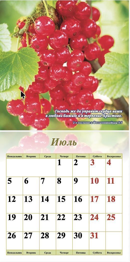 Календарь перекидной на скобе "Природа" на 29*29 см на 2027 (планер) на 12 листах