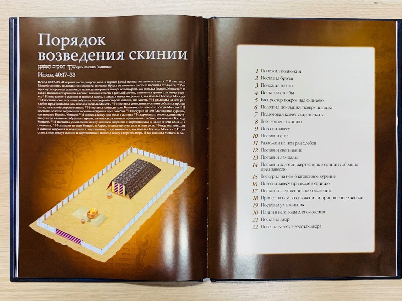 Скиния и ковчег Завета. В свете Божьего замысла искупления