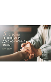   56*82          . . 28:20