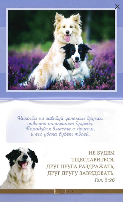 Дружба верная. Цитатник для детей 4+