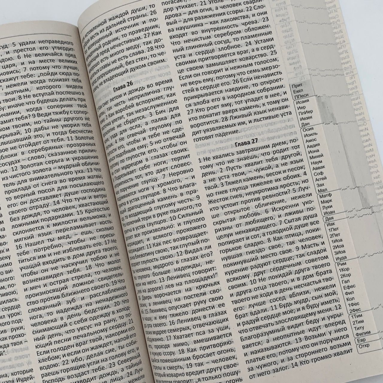 Библия 051, мягкая обложка,цвет серый, формат 12 на 19,5 см, набор в 2 колоки, без параллельных мест, размер шрифта 12 кегель