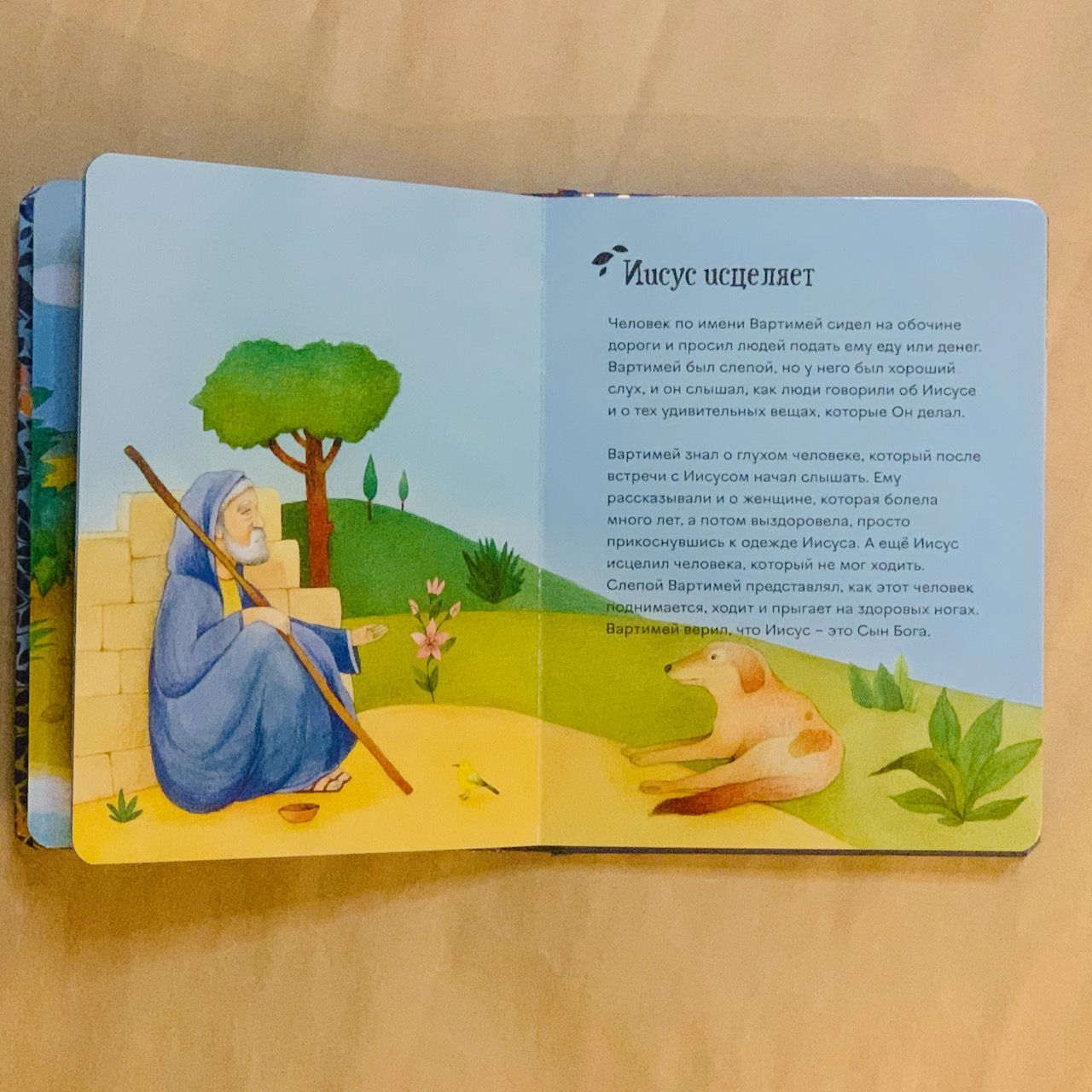 Библия в картинках для малышей. Для детей 3+