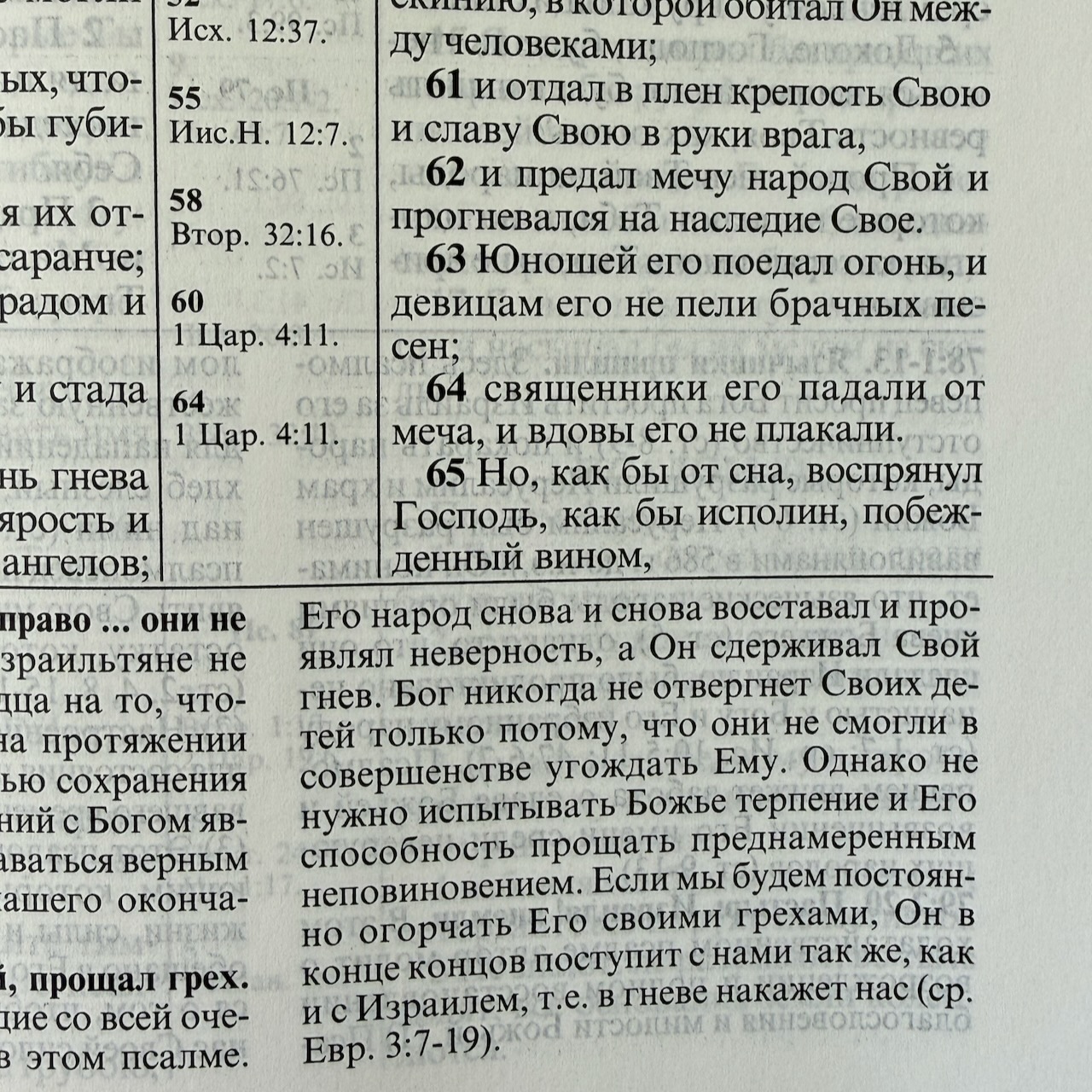 Библия с комментариями "Полноценная жизнь" 065, код 25065-4, твердый переплет, две закладки, цвет коричневый (молочный шоколад)  , цветные карты