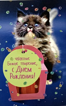 «Поздравляем с Днём рождения!» купить открытку с конвертом в Украине