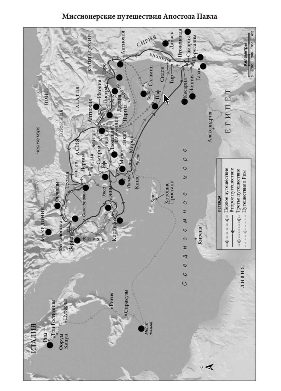 Библия 055z код 26055-33 термо штамп "терновый венец", переплет из эко кожи на молнии, цвет коричневый с оттенком бордо, средний формат, 143*220 мм