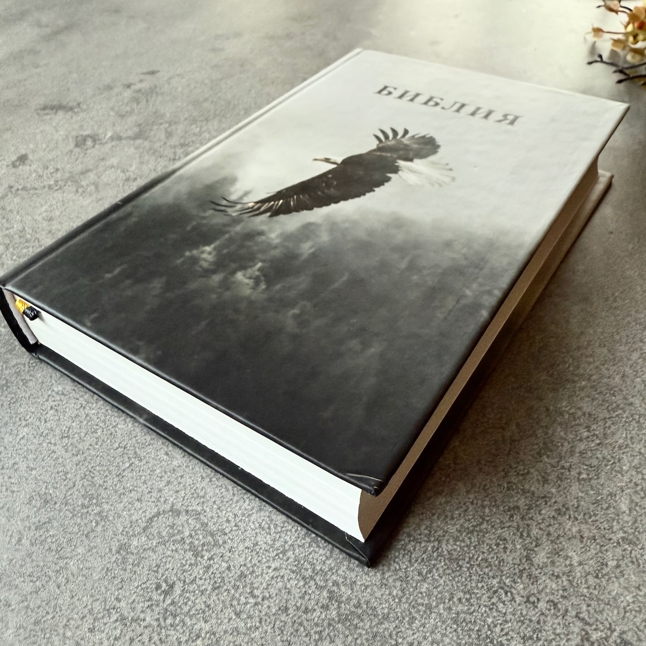 Библия 048 код 25048-55 дизайн, цветная печать"орел", твердый переплет, формат 125*195 мм