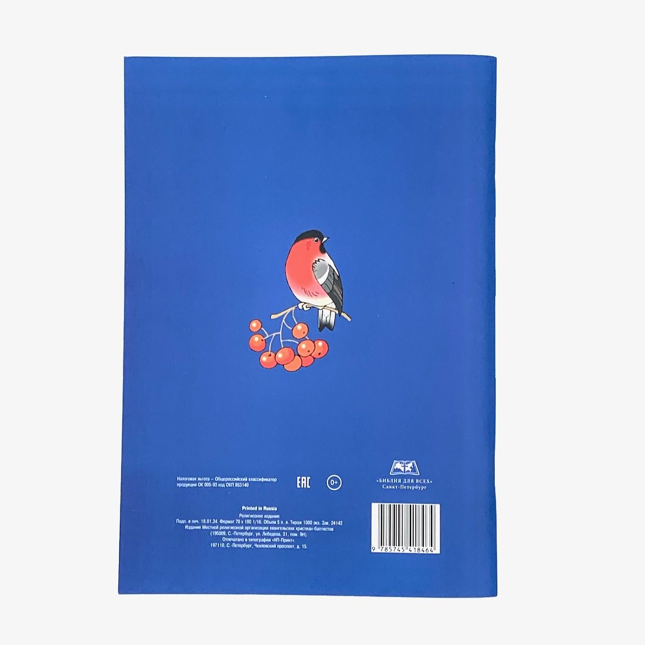 Рождество в деревне Лужицы. Рассказы. Для детей 6+ 