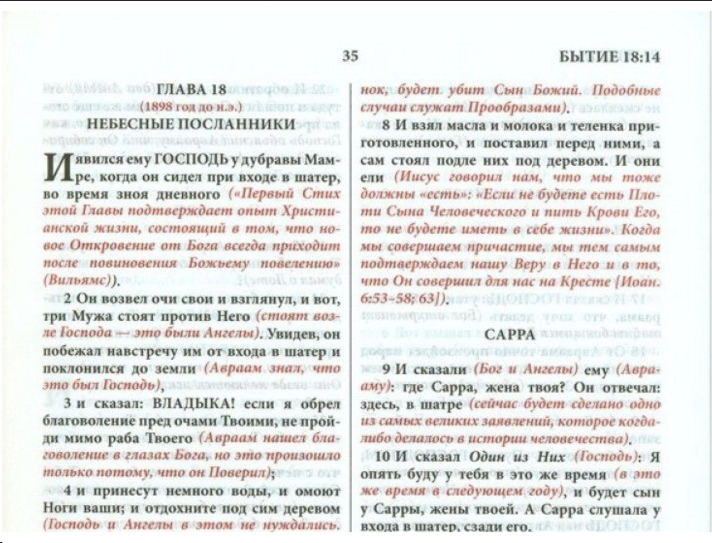 Библия с комментариями Джимми Сваггерта.