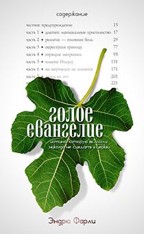 Голое Евангелие. Истина, которую вы могли никогда не услышать в церкви