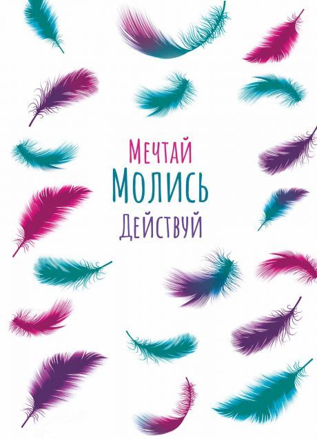 Молитвенный ежедневник "Мечтай. Молись. Действуй."  обложка Разноцветные перышки