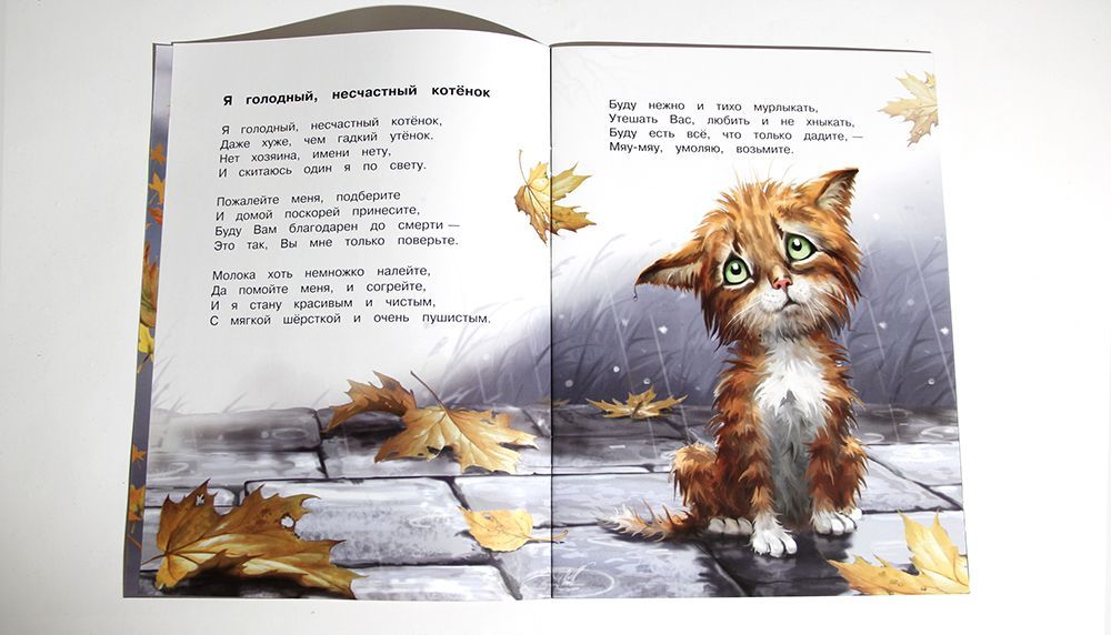 Мяу-мяу, просим вас: не пройдите мимо нас. Стихи для чтения взрослыми  детям. Для детей 0+