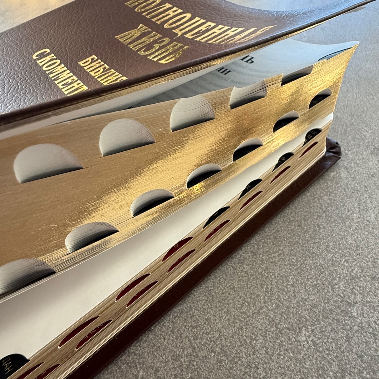 Библия с комментариями "Полноценная жизнь" 065TI, код 25065-10, кожаный переплет, две закладки, цвет коричневый пятнистый, цветные карты