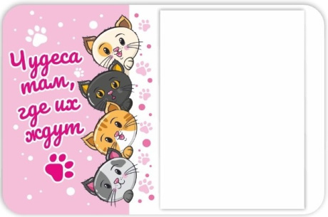 Магнит с отрывным блоком (+запасной) на холодильник "Чудеса там, где их ждут"