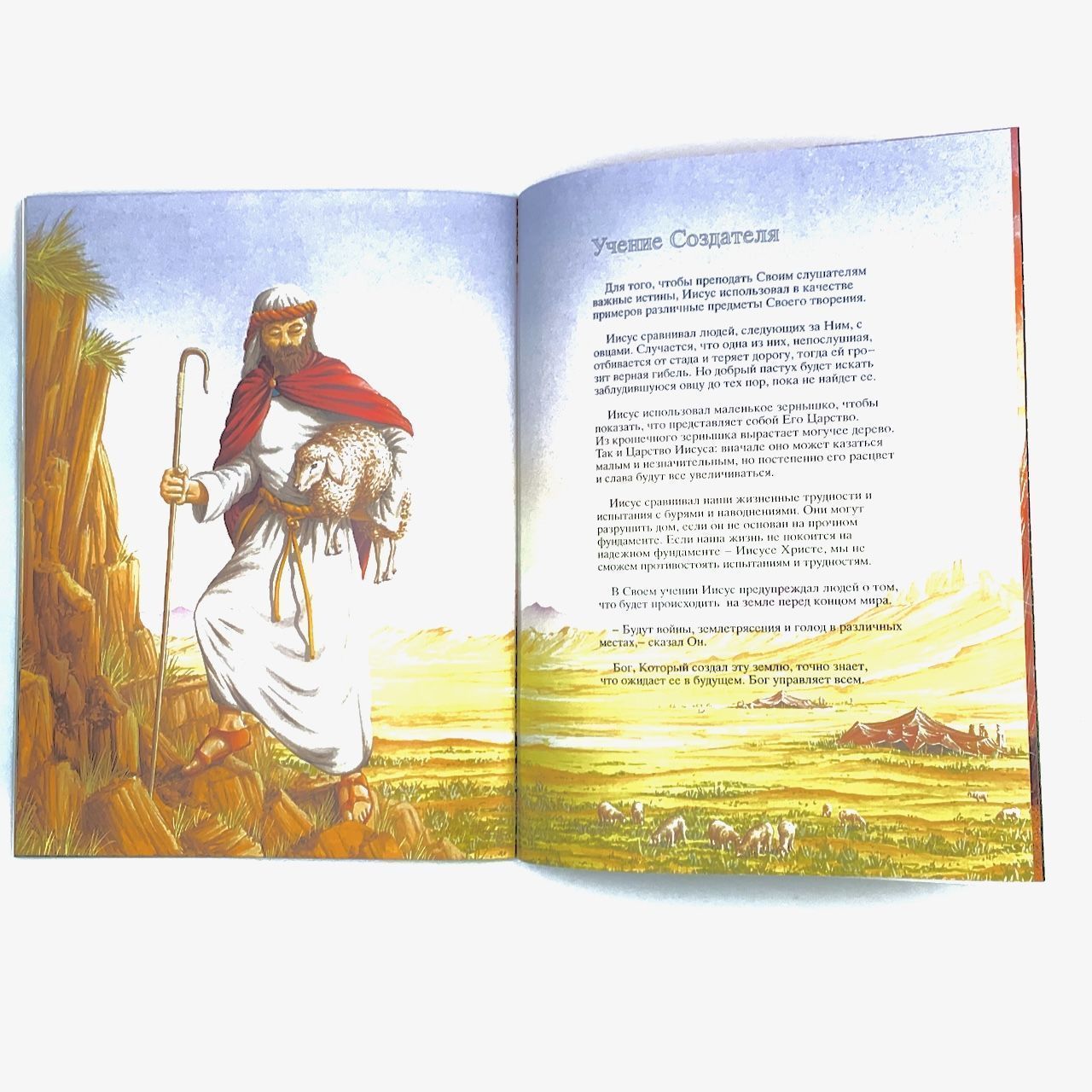 Заботливый Творец. С цветными иллюстрациями. Большой формат. Для детей 5+
