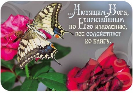 Магнит гибкий 7 *10 см  - Любящим Бога, призванным по Его изволению, все содействует ко благу (бабочка)