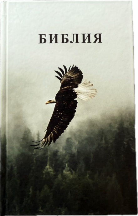 Библия 055 код 25055-67 фотопечать "орел", твердый переплет,средний формат, 143*220 мм