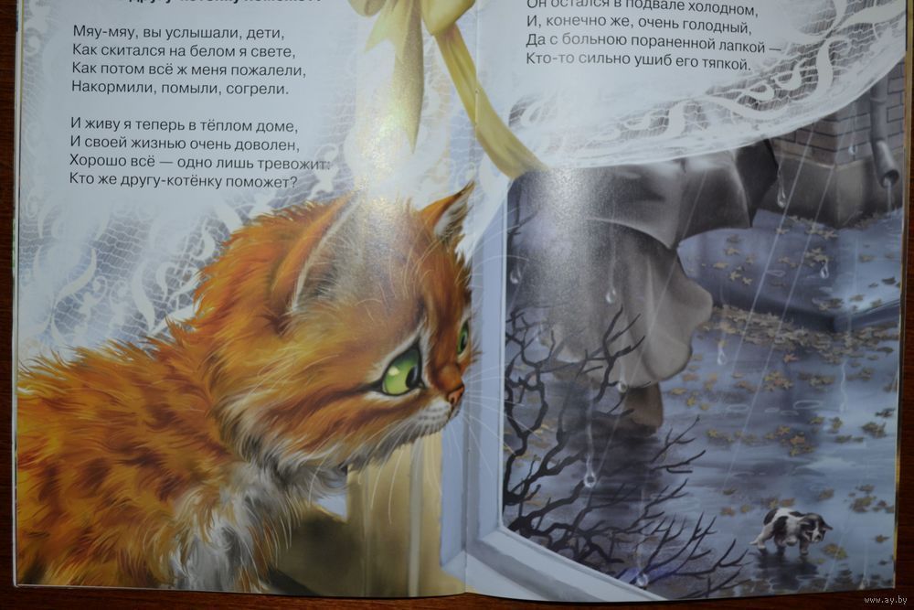 Мяу-мяу, просим вас: не пройдите мимо нас. Стихи для чтения взрослыми  детям. Для детей 0+