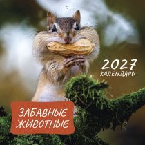 Календарь перекидной на скобе Детский "Забавные животные" (изображение зверей и цитаты из библии)  на 29*29 см на 2027 на 12 листах