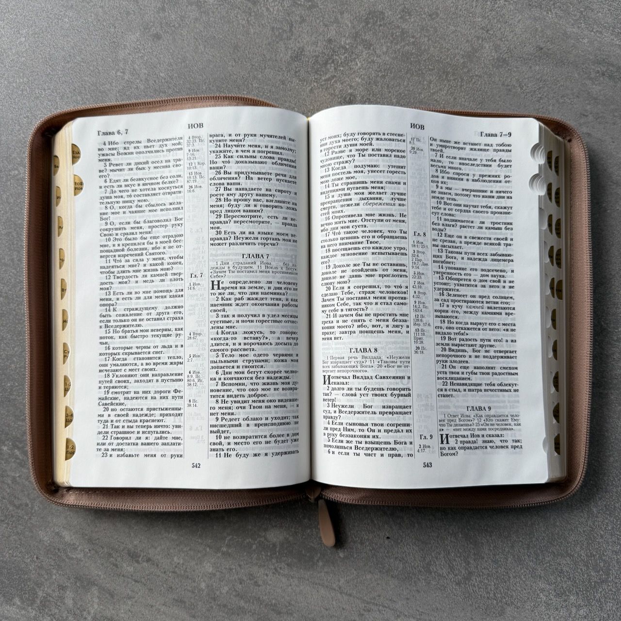 Дисконт. Черные точки на задней стороне обложке справа от центра. Библия 076zti код 25076-36, термо штамп "Терновый венец", переплет из эко кожи на молнии с индексами,  цвет серо-бежевый, размер 170x240 мм