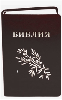 Библия Геце "с оливковой ветвью" 063 формат  (145*210 мм), чуть больше среднего  (прошитая), цвет черный, переплет из термовинила