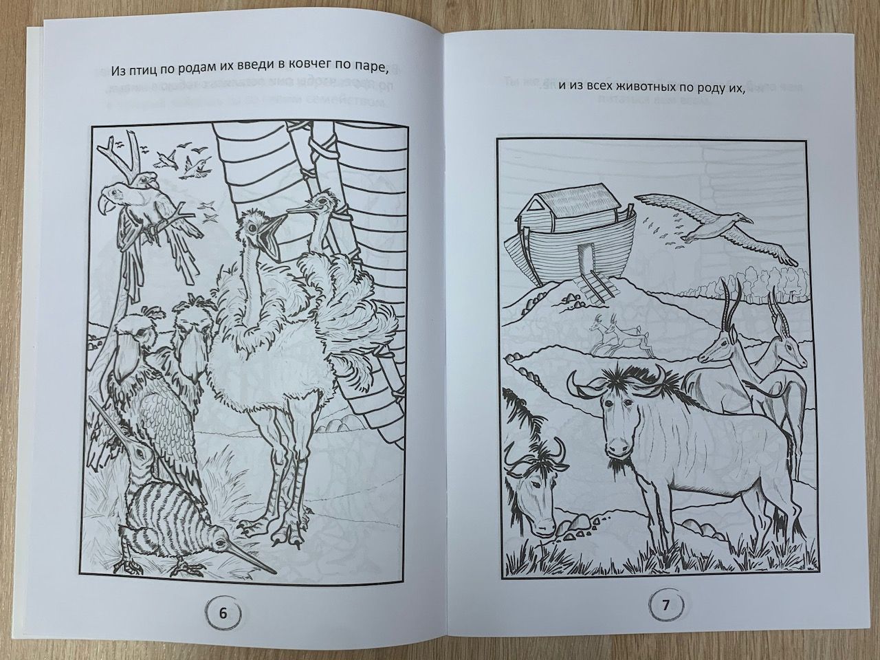 Ноев ковчег (книжка-раскраска)