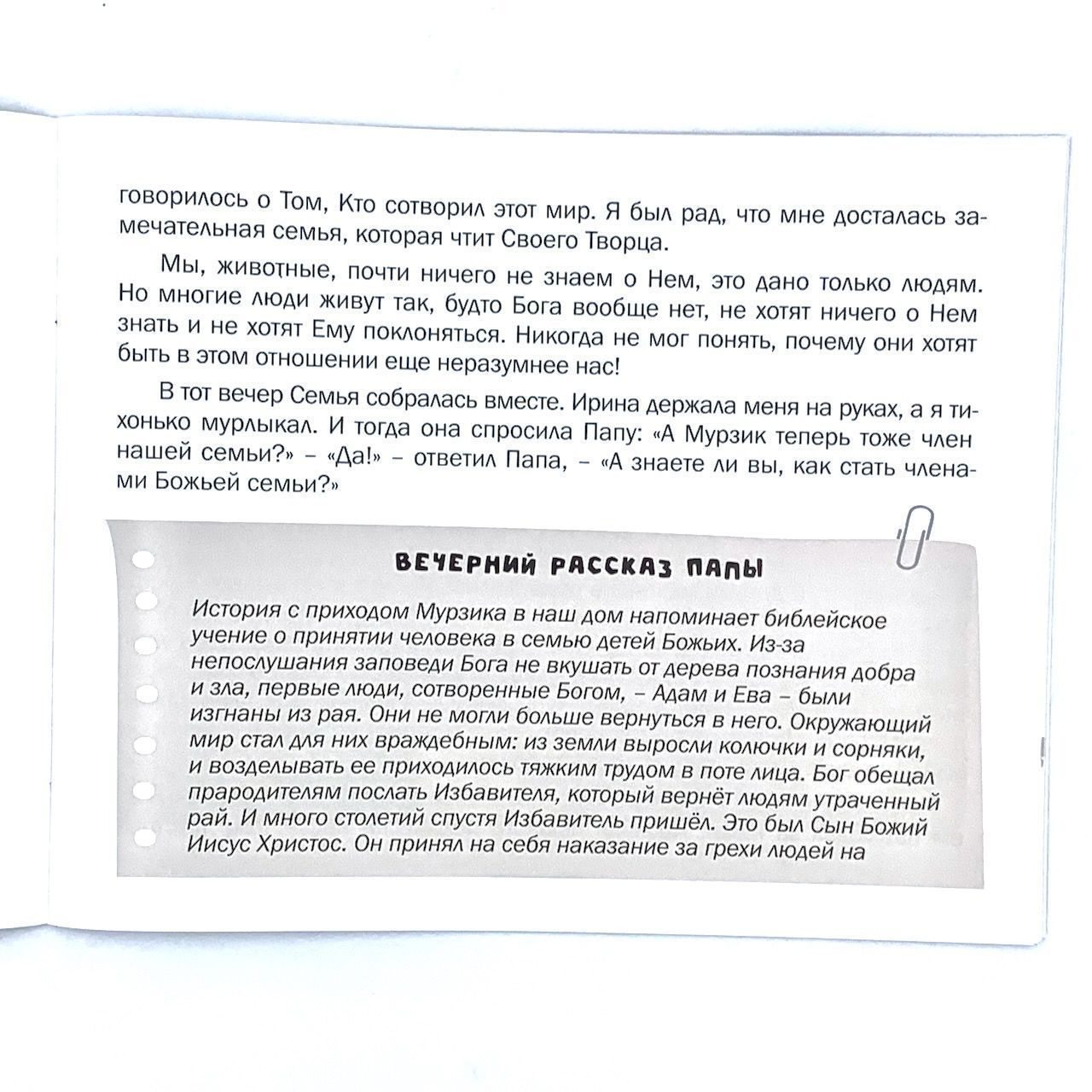 Удивительные приключения кота Мурзика с духовным смыслом. Для детей 3+