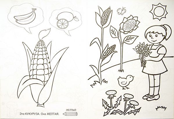 Цвета радуги. (книжка-раскраска)