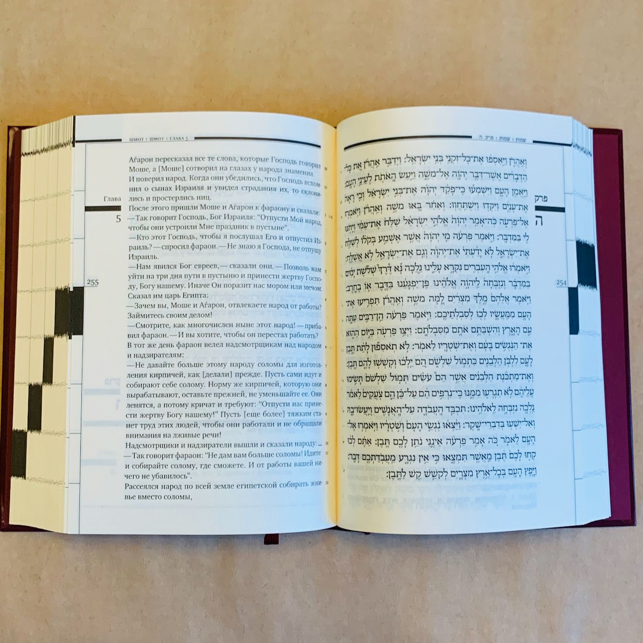Тора. Пятикнижие. Крупный шрифт. Новый перевод Торы на русский язык. Переводчик Давид Сафронов