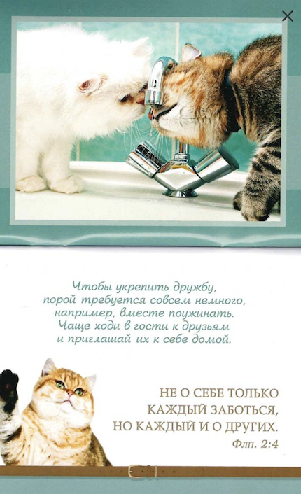 Дружба верная. Цитатник для детей 4+