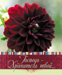 Открытка маленькая №343 - Господь - Хранитель твой