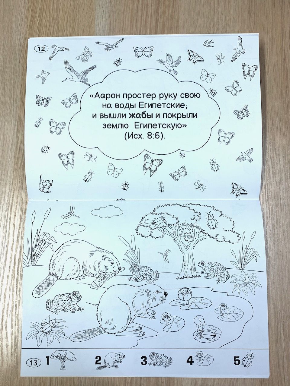 Животные и птицы в библии (книжка-раскраска). Серия раскрасок "Чудеса творения"