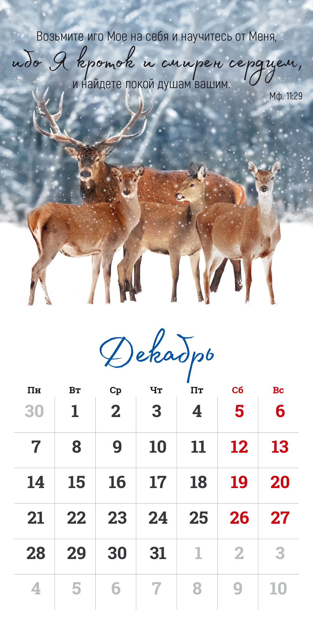 Календарь перекидной на скрепке на 14 страницах на 2026 год 30*30 см (большой) "Мудрость Божьего творения"