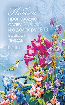   56*82     ,       "  18:2