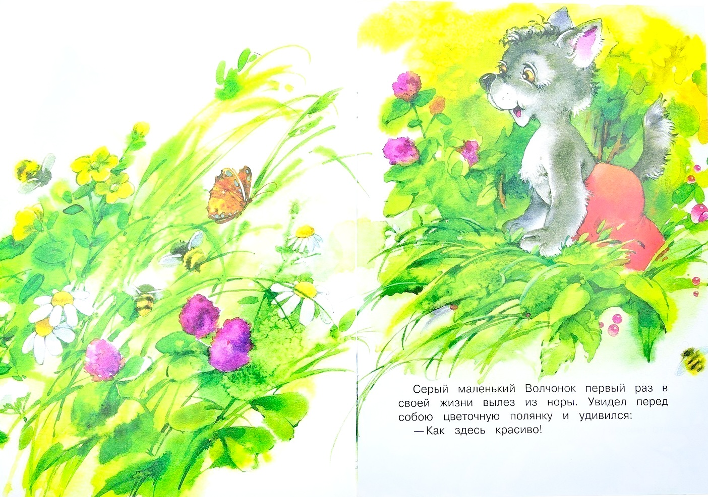 Про маленького волчонка. Для детей 3+