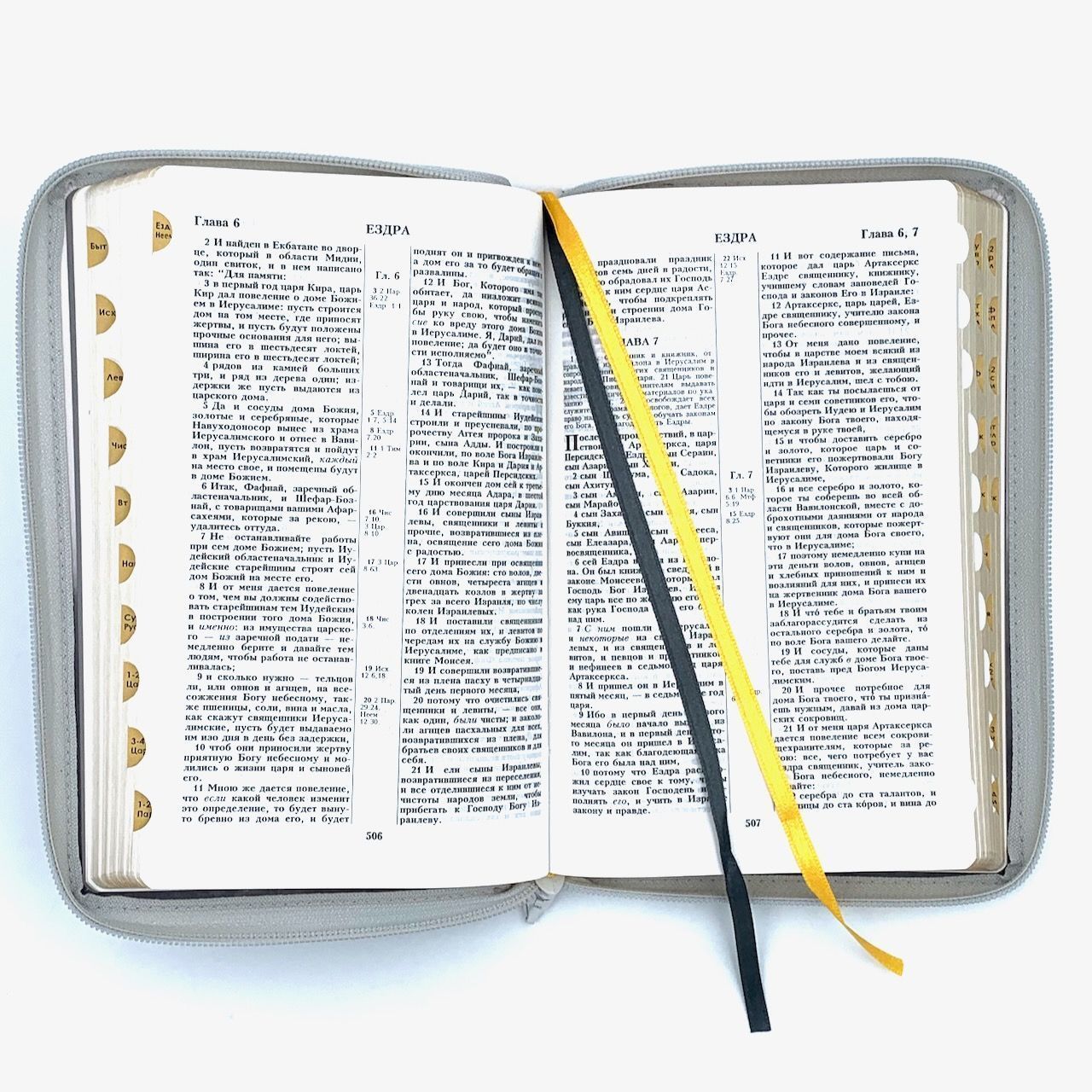 Дисконт Серая черточка с задней стороны обложки, по центру. Библия 055zti код 25055-66  цветная печать "Орел", переплет из искусственной кожи на молнии с индексами, формат 143*220 мм