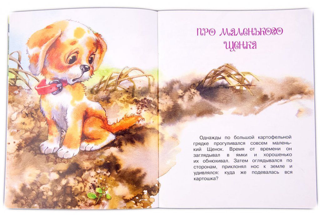 Два хвостика. Для детей 0+