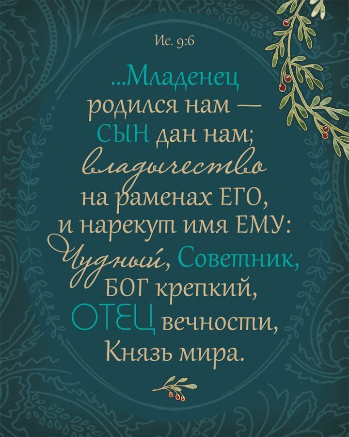 Библия о Рождестве (фиолетовая). Карманный вариант. На подарок