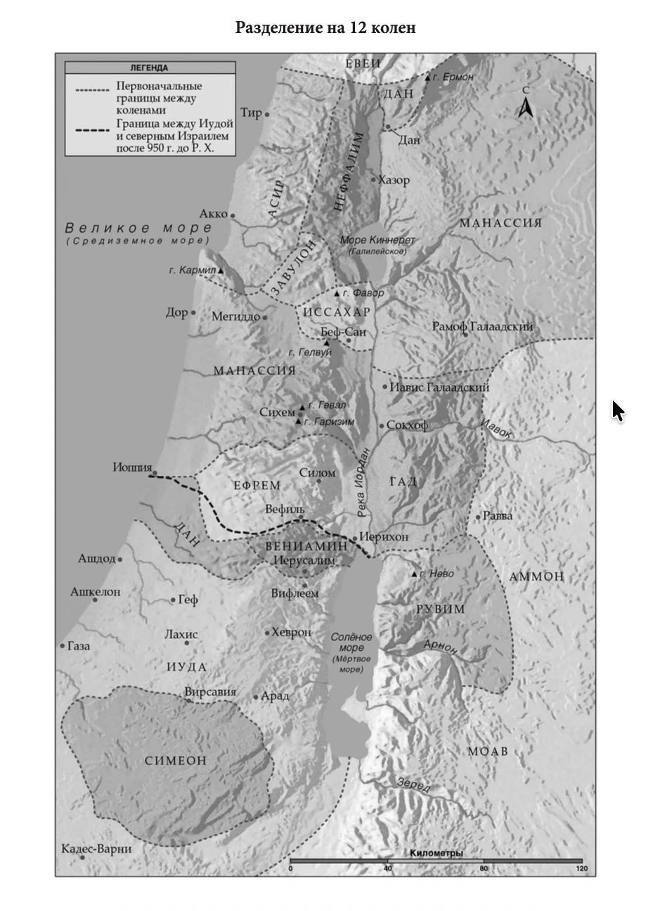 Библия 055 код 26055-47 термо штамп "терновый венец", переплет из эко кожи, цвет светло-серый, средний формат, 143*220 мм